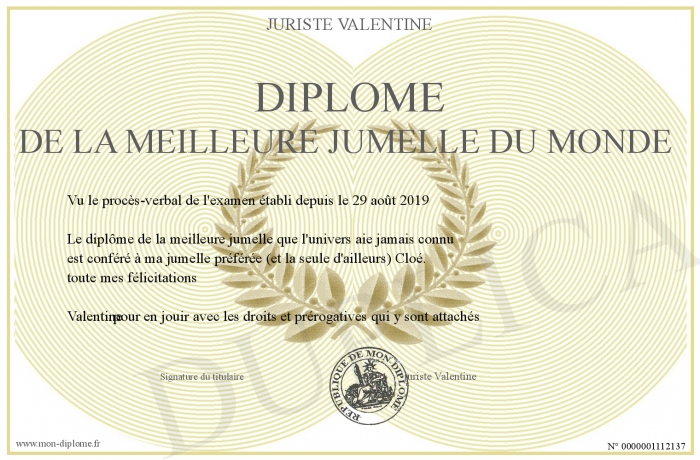 Diplome-de-la-meilleure-jumelle-du-monde