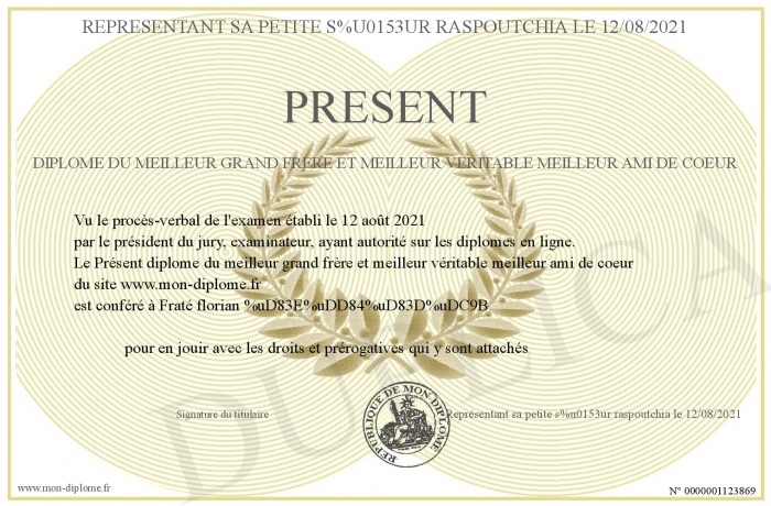 Present-diplome-du-meilleur-grand-frere-et-meilleur-veritable-meilleur