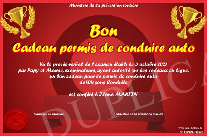 Cadeau En Espèces Pour Permis De Conduire, Permis De Conduire Comme Porte-bonheur Pour Hommes Et Femmes - Fabriqué En Bois Naturel Avec Des Vœux Gravés Pour Dire Bonne Conduite - France