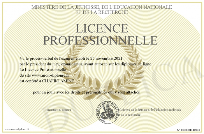 Licence-Professionnelle