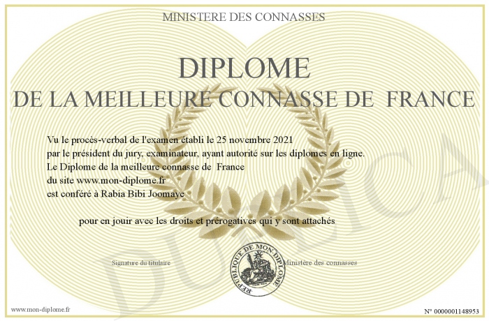 Diplome-de-la-meilleure-connasse-de--France