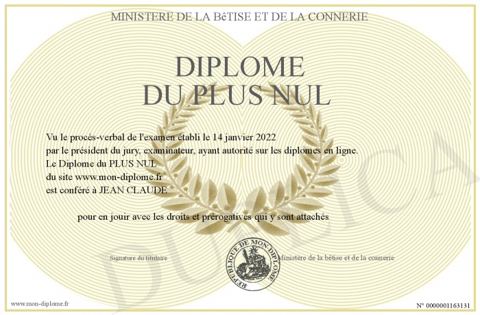 Diplome-du-PLUS-NUL
