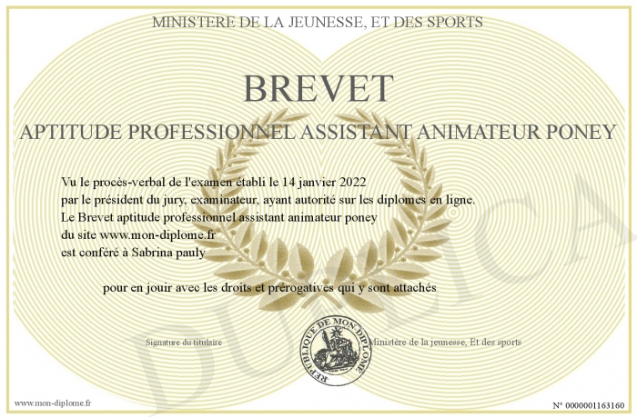 Brevet-aptitude-professionnel-assistant-animateur-poney