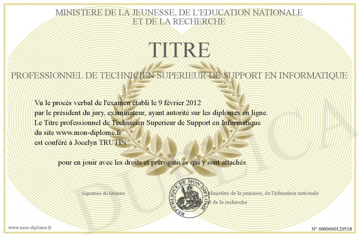 Titres professionnels Technicien Supérieur de Support en Informatique (T2SI)