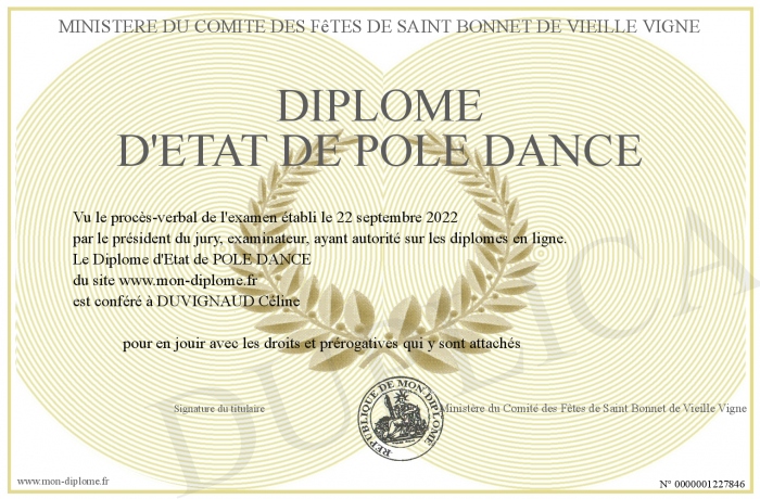 Diplome-d-Etat-de-POLE-DANCE