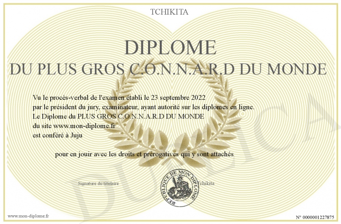 Diplome-du-PLUS-GROS-C.O.N.N.A.R.D-DU-MONDE