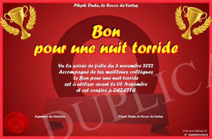 Bon-pour-une-nuit-torride
