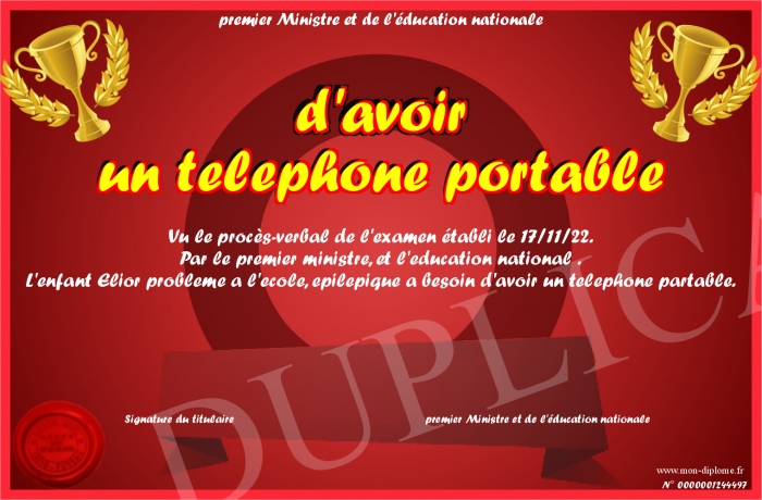 d-avoir-un-telephone-portable