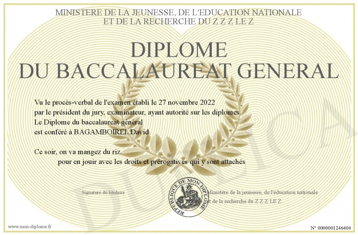 Diplome-du-baccalaureat-general
