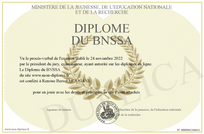 Diplome-du-BNSSA