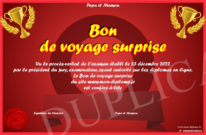 Bon-de-voyage-surprise