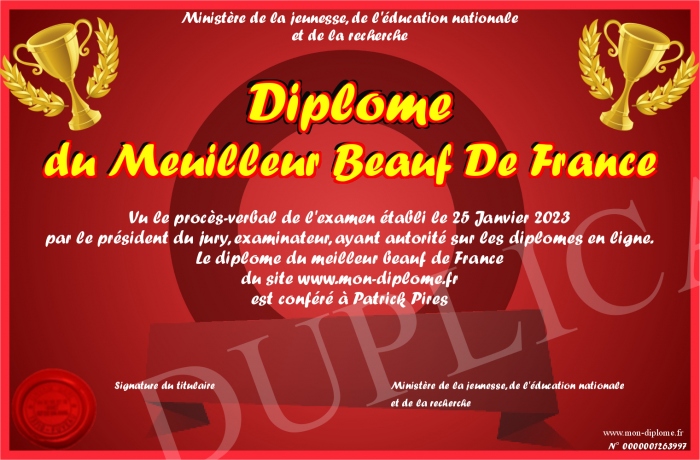 Diplome-du-Meuilleur-Beauf-De-France