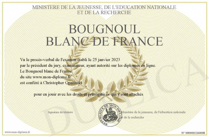 Bougnoul-blanc-de-France