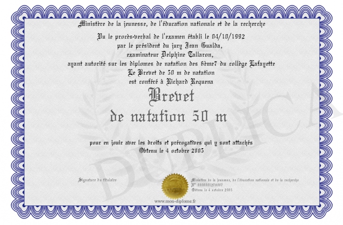Médaille Brevet Enseignement Secondaire Natation (FFN) - Occasion