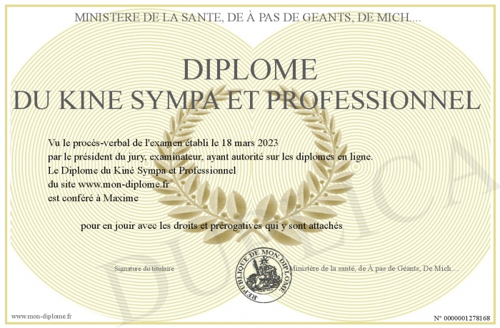 Diplome-du-Kine-Sympa-et-Professionnel