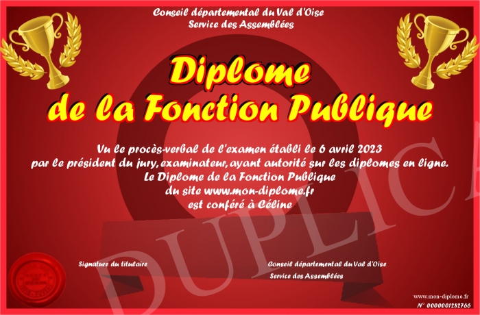 Diplome-de-la-Fonction-Publique