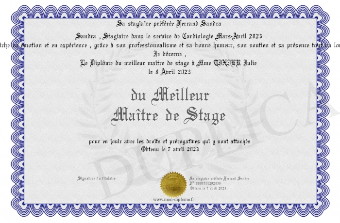 du-Meilleur-Maitre-de-Stage