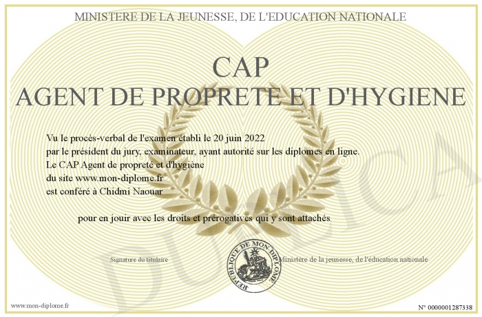 CAP-Agent-de-proprete-et-d-hygiene