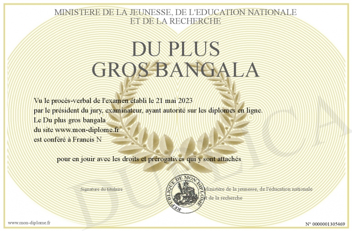 Du-plus-gros-bangala