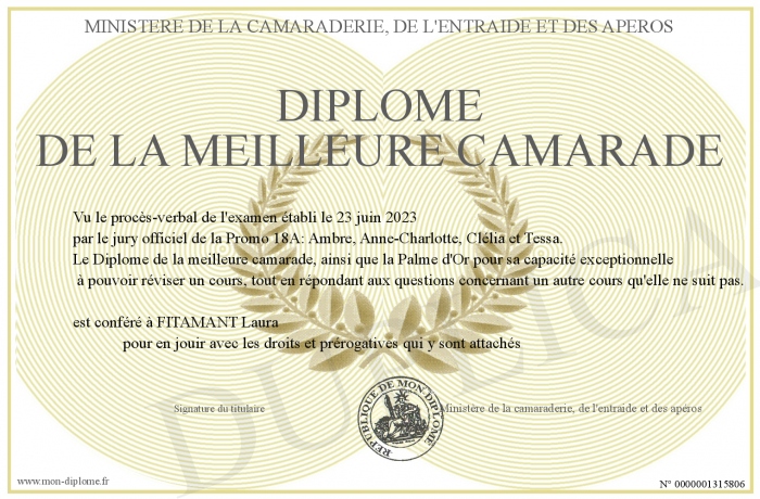 Diplome-de-la-meilleure-camarade