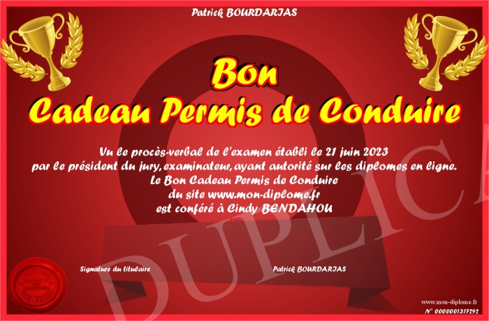 Bon-Cadeau-Permis-de-Conduire