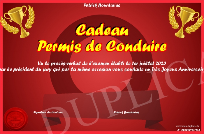 Cadeau-Permis-de-Conduire
