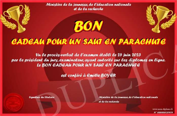BON-CADEAU-POUR-UN-SAUT-EN-PARACHUTE