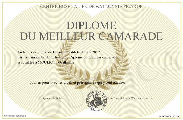 Diplome-du-meilleur-camarade