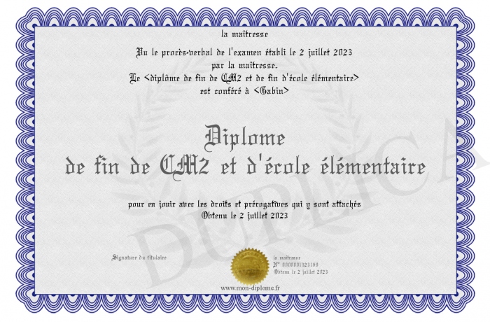 Diplome-de-fin-de-CM2-et-d-ecole-elementaire
