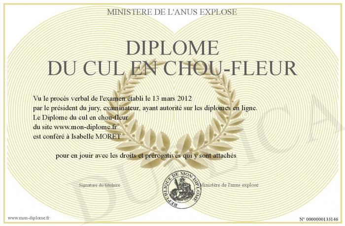 700-133146-Dipl%C3%B4me%20du%20cul%20en%