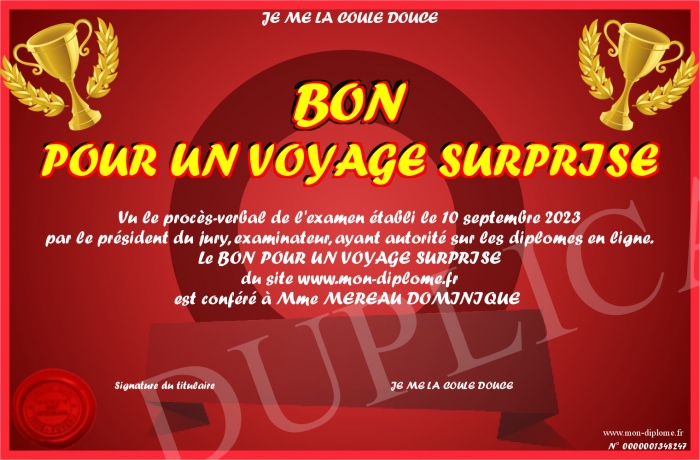 BON-POUR-UN-VOYAGE-SURPRISE