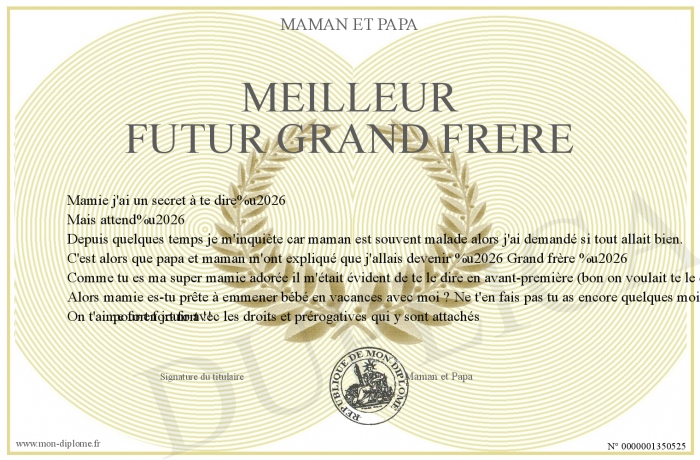 Meilleur-futur-grand-frere