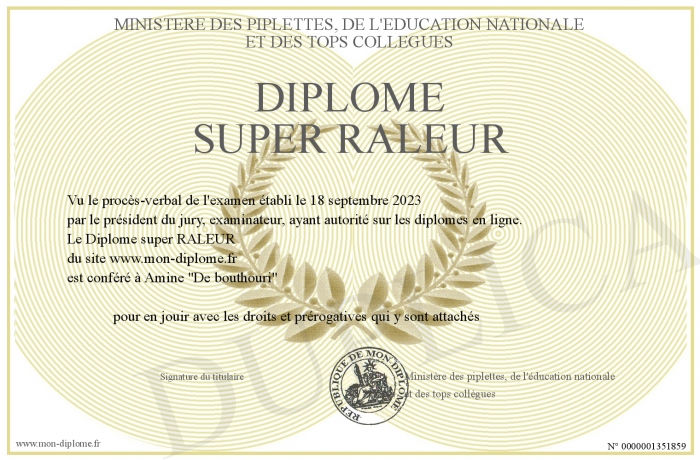 Diplome-super-RALEUR