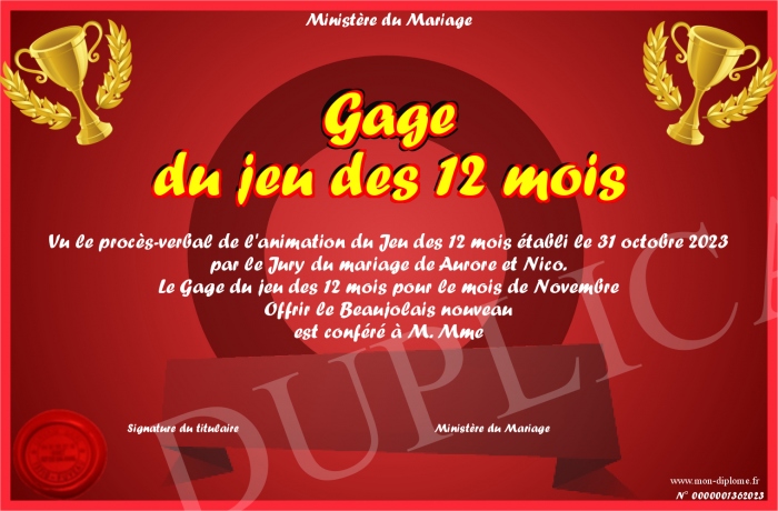 Gage-du-jeu-des-12-mois