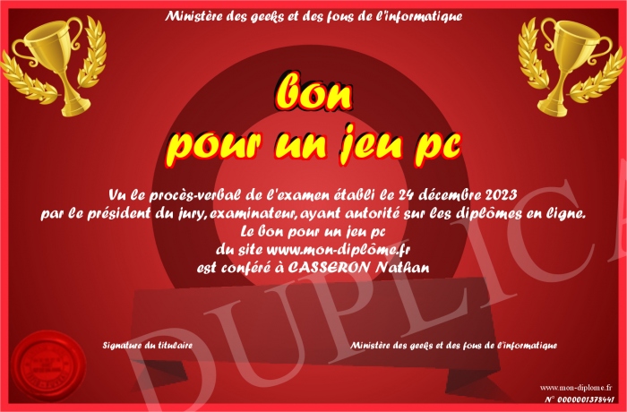bon-pour-un-jeu-pc