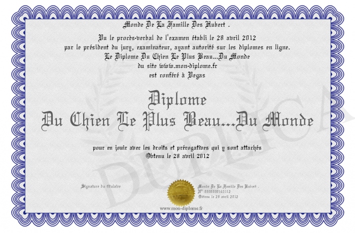 les plus beaux chien du monde