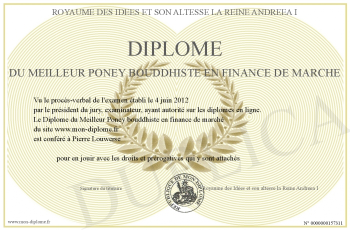 pourquoi la finance de marché