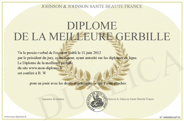 700-160734-Dipl%C3%B4me%20de%20la%20meil