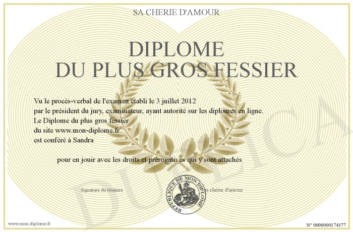 700-174377-Dipl%C3%B4me%20du%20plus%20gr