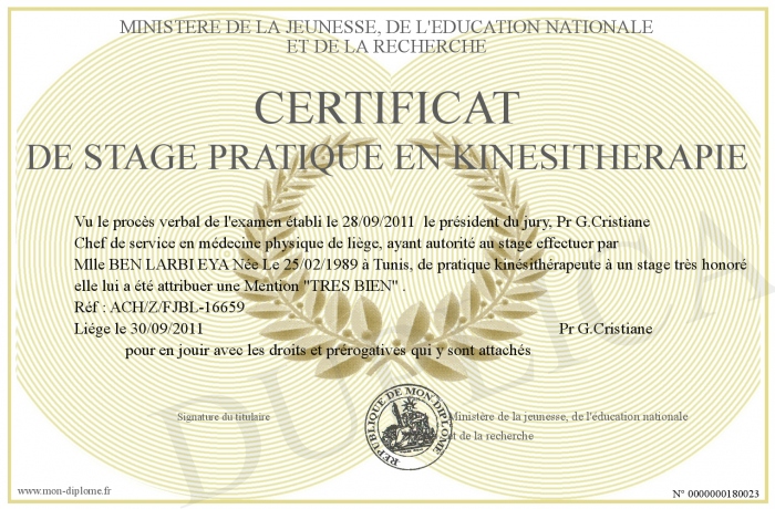 CERTIFICATDESTAGEPRATIQUEENKINESITHERAPIE