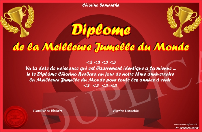 Diplome-de-la-Meilleure-Jumelle-du-Monde