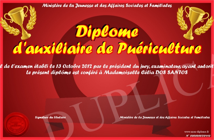 Diplome-d-auxiliaire-de-Puericulture
