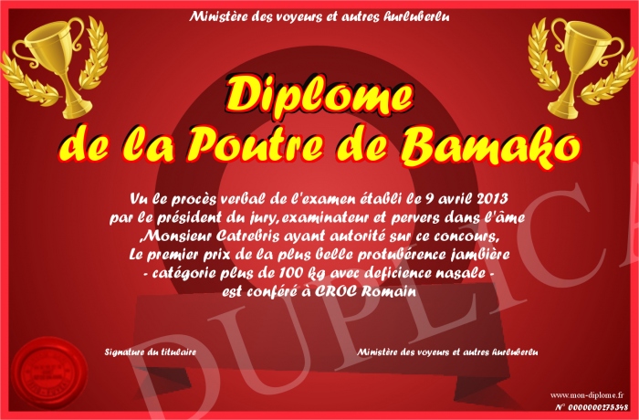 Diplome-De-La-Poutre-De-Bamako