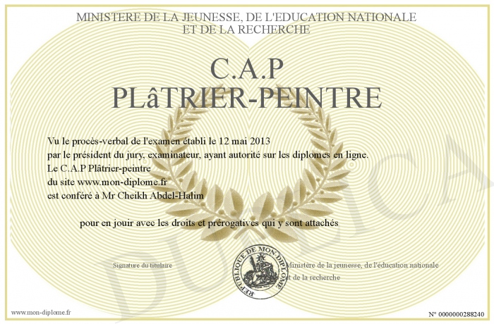 C A P Platrier Peintre