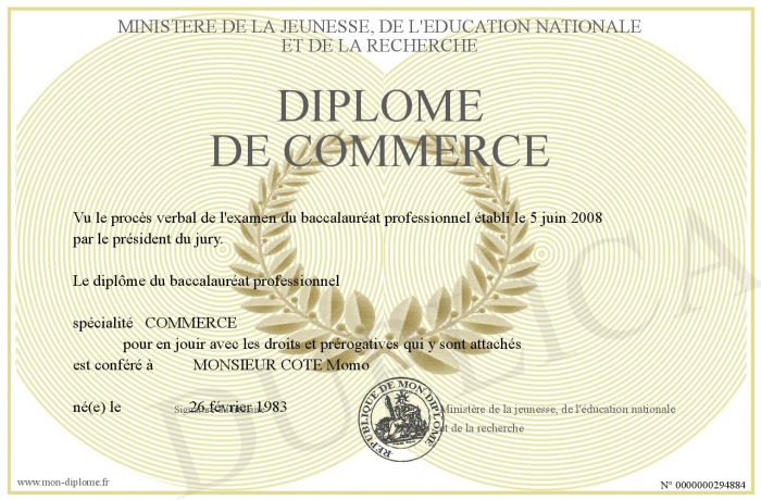 Diplomedecommerce