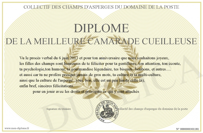 Diplome-de-la-meilleure-camarade-cueilleuse