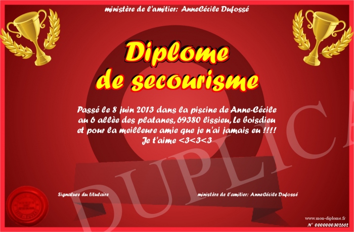 Diplome-de-secourisme
