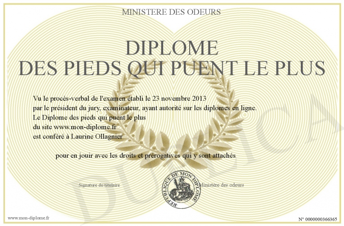 700-366365-Dipl%C3%B4me%20des%20pieds%20qui%20puent%20le%20plus.jpg