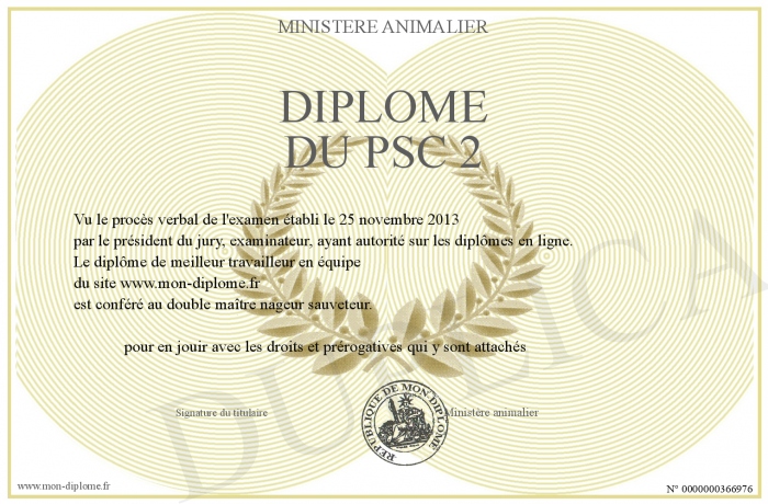 Diplome-du-PSC-2