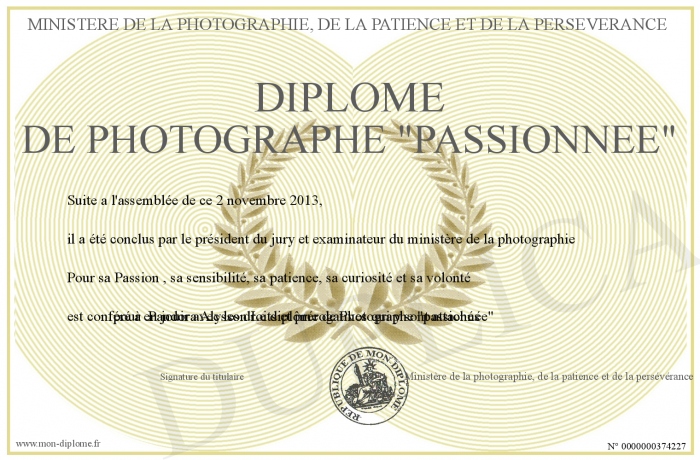 diplome photographie